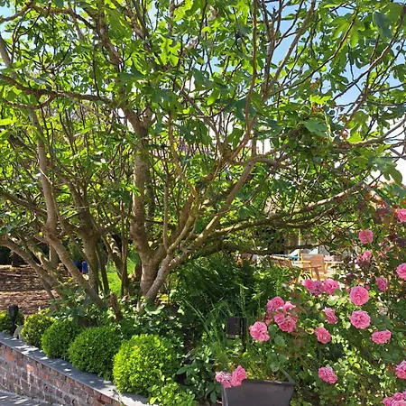 La Jauchelle * Thimougies